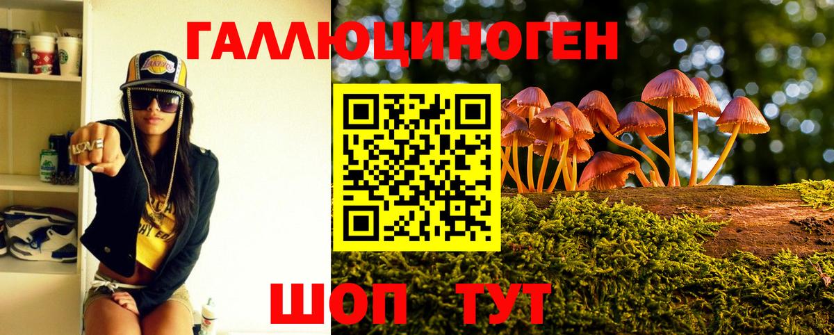 Галлюциногенные грибы Magic Shrooms Зеленодольск