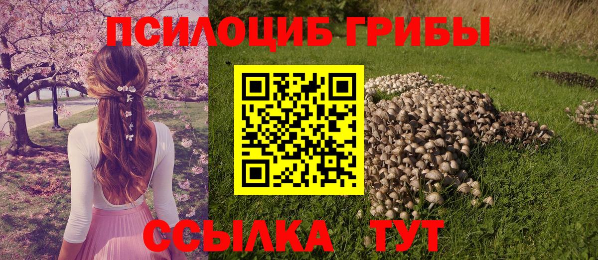 Галлюциногенные грибы Magic Shrooms  Вход с VPN  Зеленодольск  Галлюциногенные грибы мухоморы 